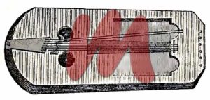 Crwth, Cruit oder Crota britanna